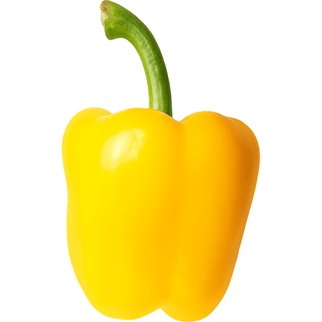 Fresh Ingredients
